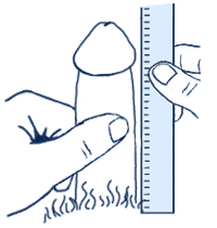 Pomiar długości penisa